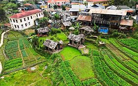 Mina Eco Home